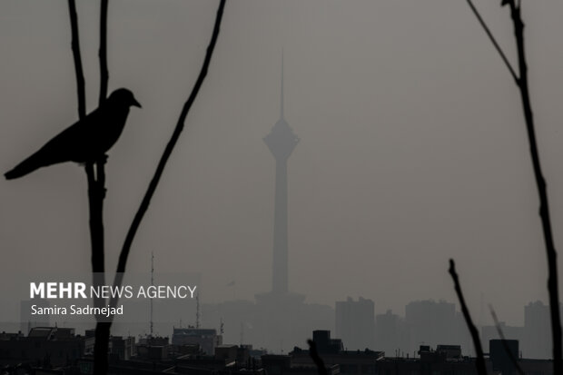 آلودگی هوا دست از سر تهران بر نمیدارد؛ وضعیت دوباره قرمز شد