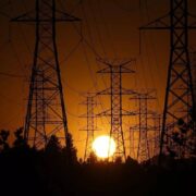 افعی برق‌ خوار ایران شناسایی شد!