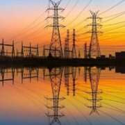 افعی برق‌خوار ایران رونمایی شد