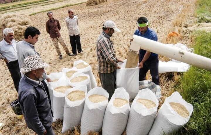 اندازه بازار جهانی ماشین آلات آسیاب برنج تا ۲۰۳۰ | ماشین آلات دست دوم؛ مانع گسترش بازار