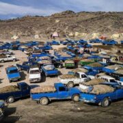 باربرگ‌های صوری عامل افزایش قاچاق سوخت است