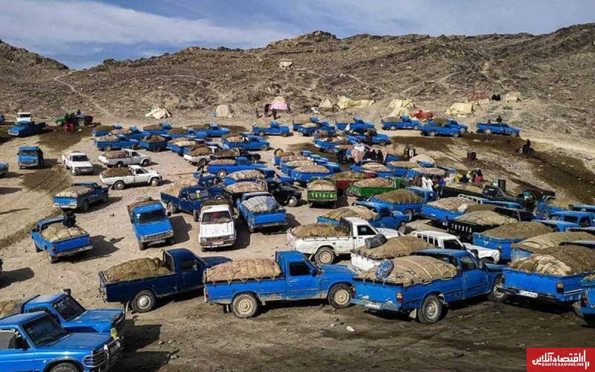 باربرگهای صوری عامل افزایش قاچاق سوخت است