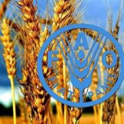 برنامه پزشکان خاک ایران مورد تحسین فائو قرار گرفت