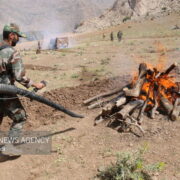 بسیج مردمی برای مهار آتش جنگل‌ها؛ آموزش جوامع محلی برای اطفای حریق