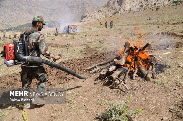 بسیج مردمی برای مهار آتش جنگلها؛ آموزش جوامع محلی برای اطفای حریق