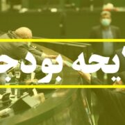 جزئیات بودجه 1405| سقف وام اشتغال خرد ثابت ماند
