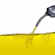 حجم عظیمی از ثروت ملی مفقود شد !