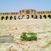 خاکهای درجهیک حاشیه زایندهرود در حال نابودیاند