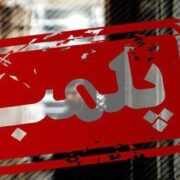 صیادی: ۴ بنگاه املاک متخلف در الهیه پلمب شد