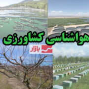ضرورت انتقال محصولات کشاورزی برداشت شده به مکان‌های مسقف