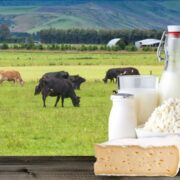 لبنیات دوباره گران شد