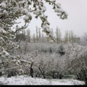 هشدار هواشناسی به ۲۵ استان؛ خسارت به محصولات کشاورزی با تشدید بارشها