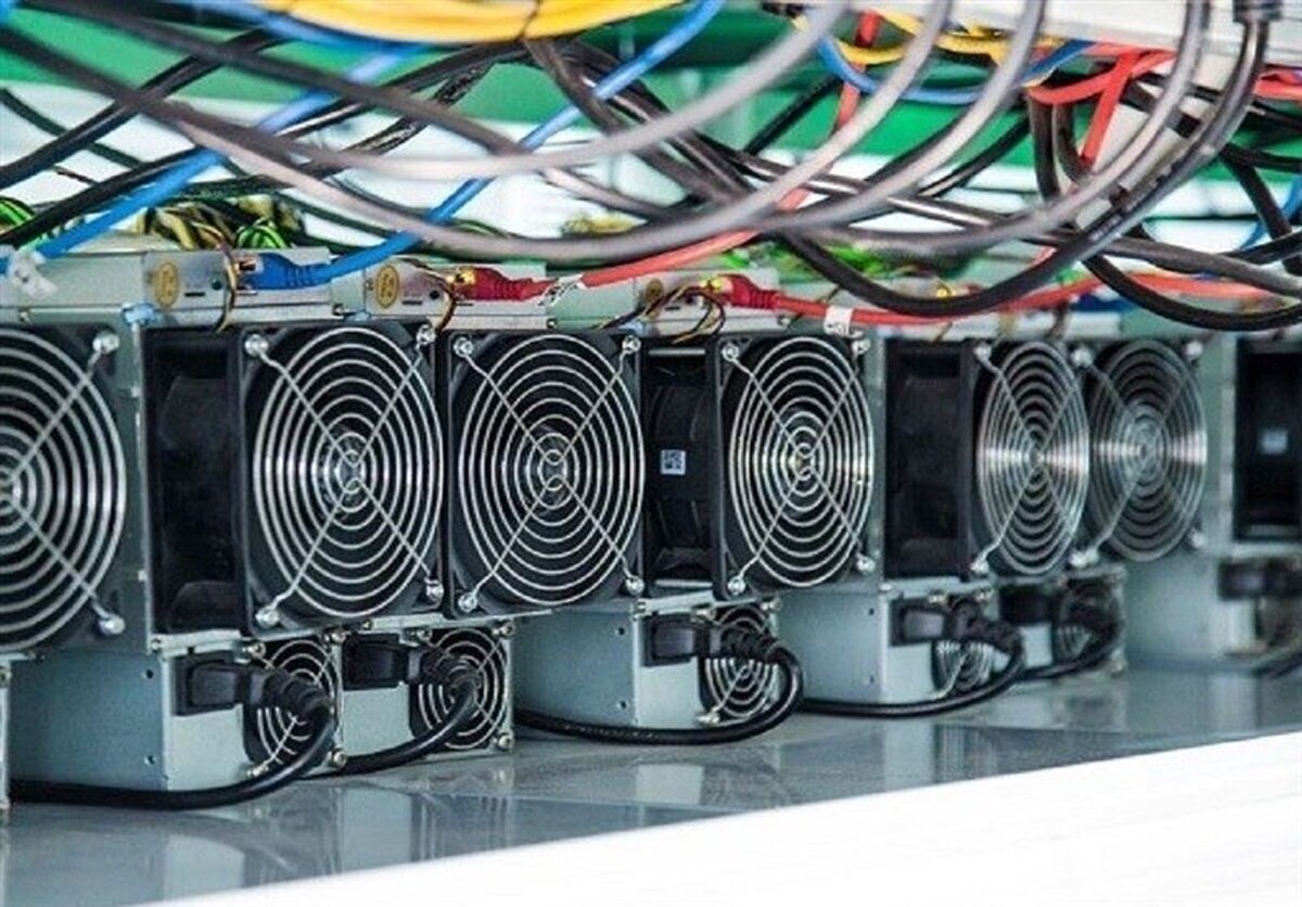 پرداخت ۸ میلیارد تومان پاداش برای این افراد