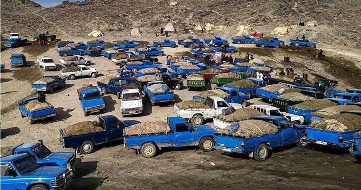 کاهش روزانه ۴.۵ میلیون لیتر قاچاق سوخت/ با متخلفان برخورد قضایی شدید میشود