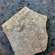 کشف اشیای باستانی در محوطه خیابان چهارباغ اصفهان/میراث‌فرهنگی مانع ادامه عملیات شد