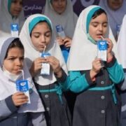 گرانی لبنیات، ترمز طرح توزیع شیر در مدارس را کشید