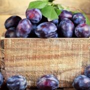 ایران در جایگاه ششم تولید جهانی آلو؛ ارزش ۱.۳ میلیارد دلاری صادرات آلو تازه