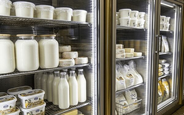 غدانه شگفتی ساز شد؛ عقبگرد نمادهای غمارگ و غالبر در بحبوحه گرانی لبنیات