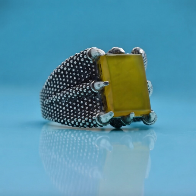 چرا شرف الشمس سیاه می شود؟ ۵ علت تغییر رنگ شرف الشمس زرد چرا شرف الشمس سیاه می شود؟ ۵ علت تغییر رنگ شرف الشمس زرد