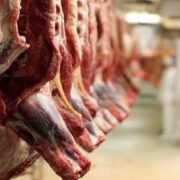 ترخیص گوشت در بنادر و استانهای مرزی بدون مشکل