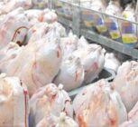 آمادگی برای خرید حمایتی مرغ در خراسان جنوبی؛تأکید بر رعایت استانداردها