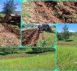 احداث «آتش‌بر» در عرصه‌های جنگلی و مرتعی چگنی