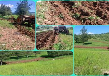 احداث «آتش‌بر» در عرصه‌های جنگلی و مرتعی چگنی