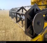 استقبال کشاورزان از نرخ جدید خرید تضمینی گندم