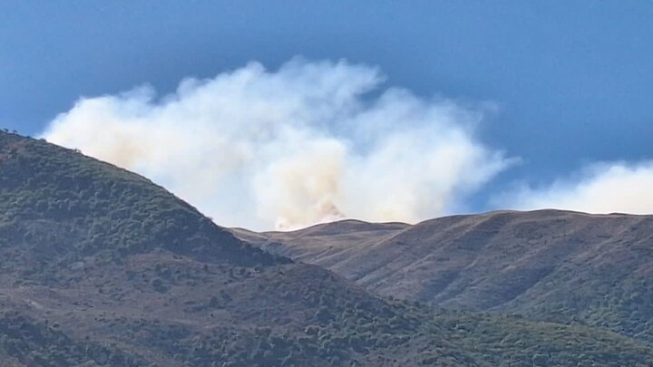 حمله به سازمان منابع طبیعی را به نهادهای سازمان ملل منعکس کردهایم