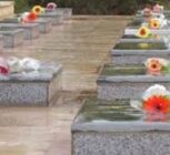 حیدری: استان بوشهر ۳ شهید جاویدالاثر دارد