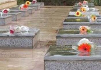 حیدری: استان بوشهر ۳ شهید جاویدالاثر دارد