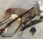 دستگیری ۴ شکارچی غیرمجاز در پارک ملی توران؛ لاشه قوچ وحشی کشف شد