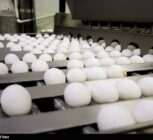 شبکه توزیع عامل گرانی تخم مرغ اعلام شد