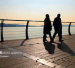 ماجرای حشرات ریز دریاچه شهدای خلیج فارس چیست؟