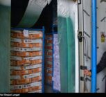 موجودی کالاهای اساسی کشور از زمان صلح هم بیشتر است