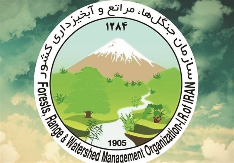 پیگیری بینالمللی حمله به سازمان منابع طبیعی کشور