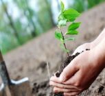 کاشت نهال به یاد شهدای جنگ تحمیلی رمضان به بهانه روز جهانی زمین پاک