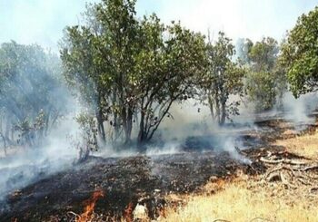 آمادگی محیط زیست برای مقابله با حوادث در مناطق حفاظت شده
