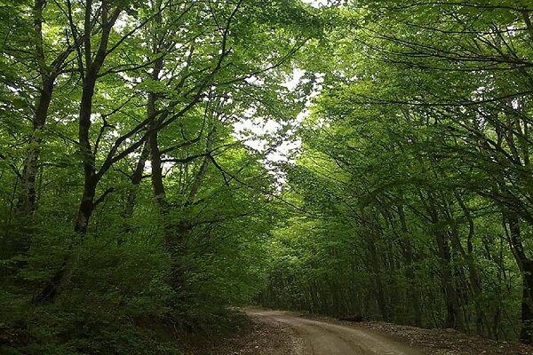 اقدامات گسترده دفتر مدیریت زیستگاهها در سال ۱۴۰۴