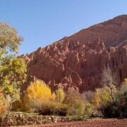 بحران تنوع زیستی، تهدیدی جهانی برای آینده بشریت است