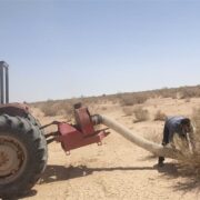 ملخ‌های بومی برای تولید خوراک طیور و آبزیان جارو می‌شوند