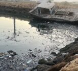 آغاز اجرای طرح مشترک مدیریت زباله‌های دریایی در دریای خزر