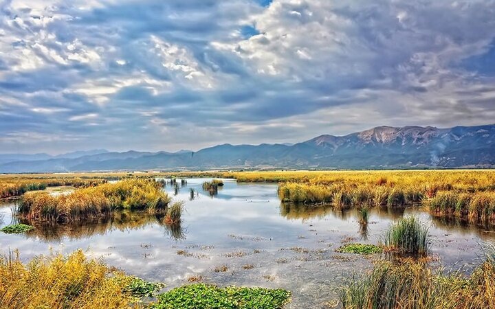 احیای تالابها؛ سرمایهگذاری برای نسلهای آینده