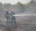 جزئیات سوختن ۱۰۰ اصله درخت در آتش‌سوزی مهیب مشهد