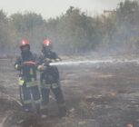 جزئیات سوختن ۱۰۰ اصله درخت در آتش‌سوزی مهیب مشهد