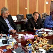 شهیدی: مناسبسازی اماکن برای ایثارگران نیازمند عزم همه دستگاهها است