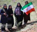 طرح یک میلیارد درخت در نیمه راه؛ بقای نهال‌ها مهم‌تر از آمار کاشت