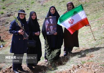 طرح یک میلیارد درخت در نیمه راه؛ بقای نهال‌ها مهم‌تر از آمار کاشت