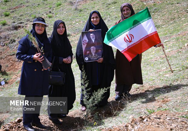 طرح یک میلیارد درخت در نیمه راه؛ بقای نهال‌ها مهم‌تر از آمار کاشت