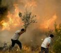 لرستان و معادله پیچیده تابستان؛ حریق‌هایی که همه منشأ انسانی دارند